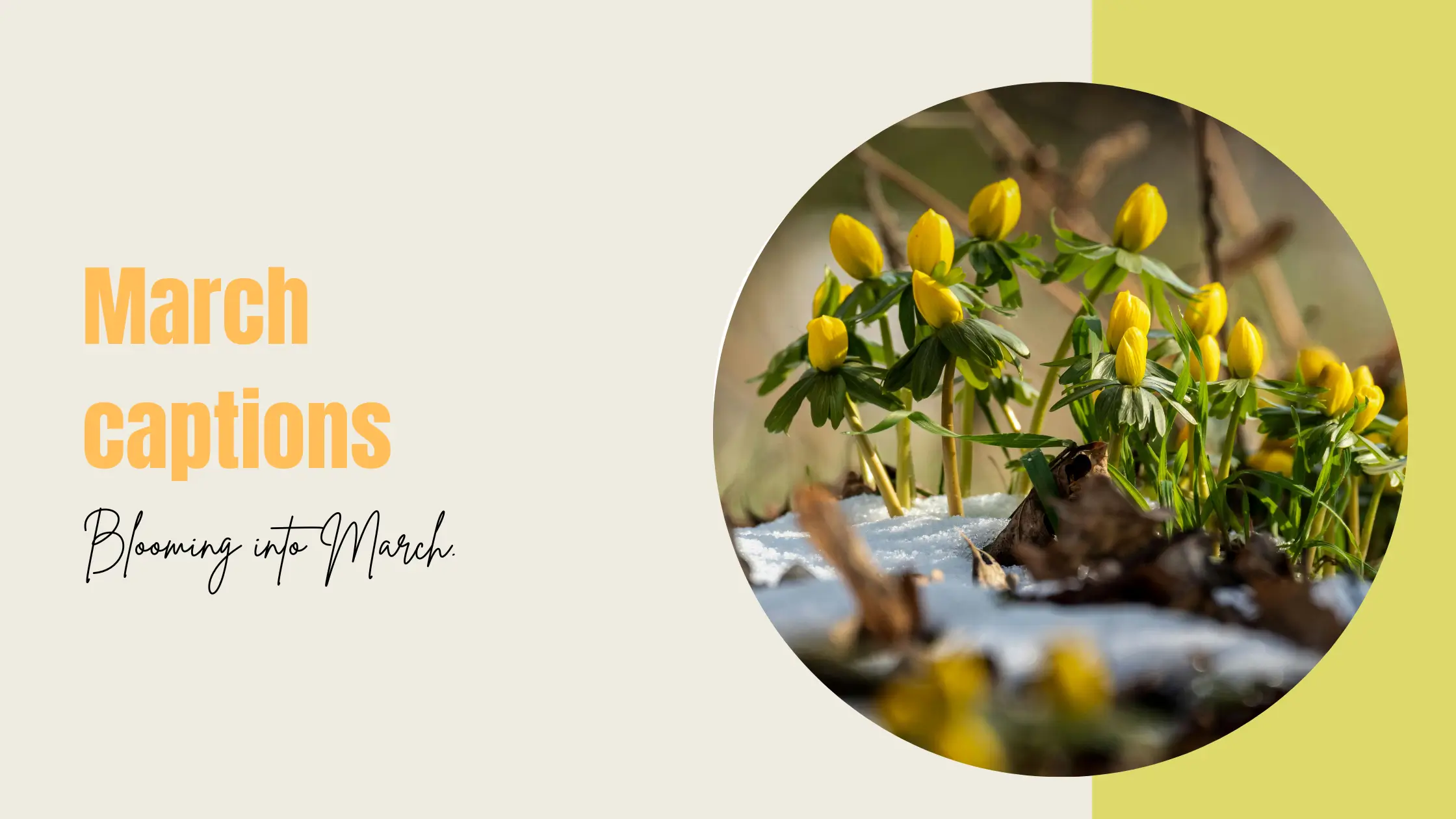 March Instagram Captions to Make Your Posts Stand Out