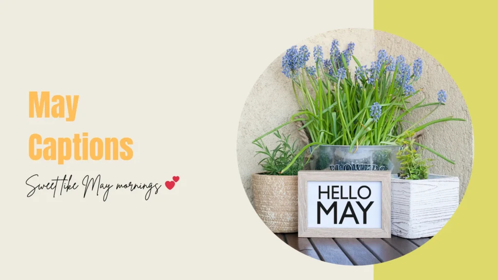 May Captions