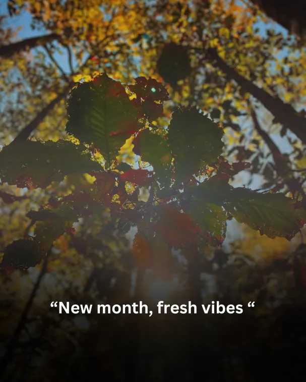 New month, fresh vibes