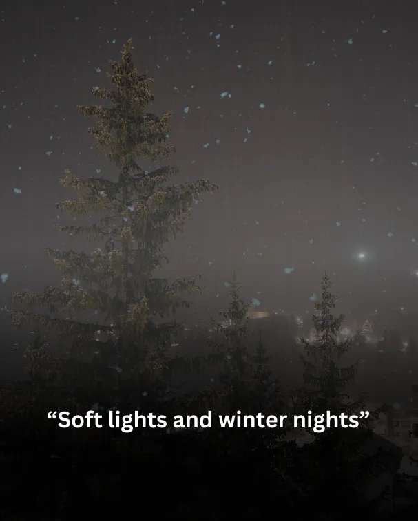 Soft lights and winter nights
