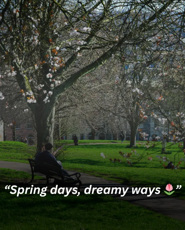 Spring days, dreamy ways 🌷