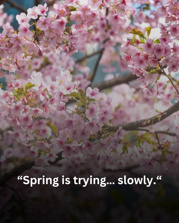Spring is trying… slowly.
