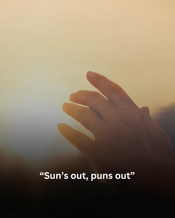 Sun’s out, puns out
