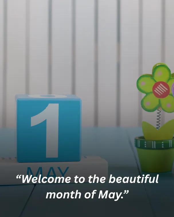 Welcome to the beautiful month of May.