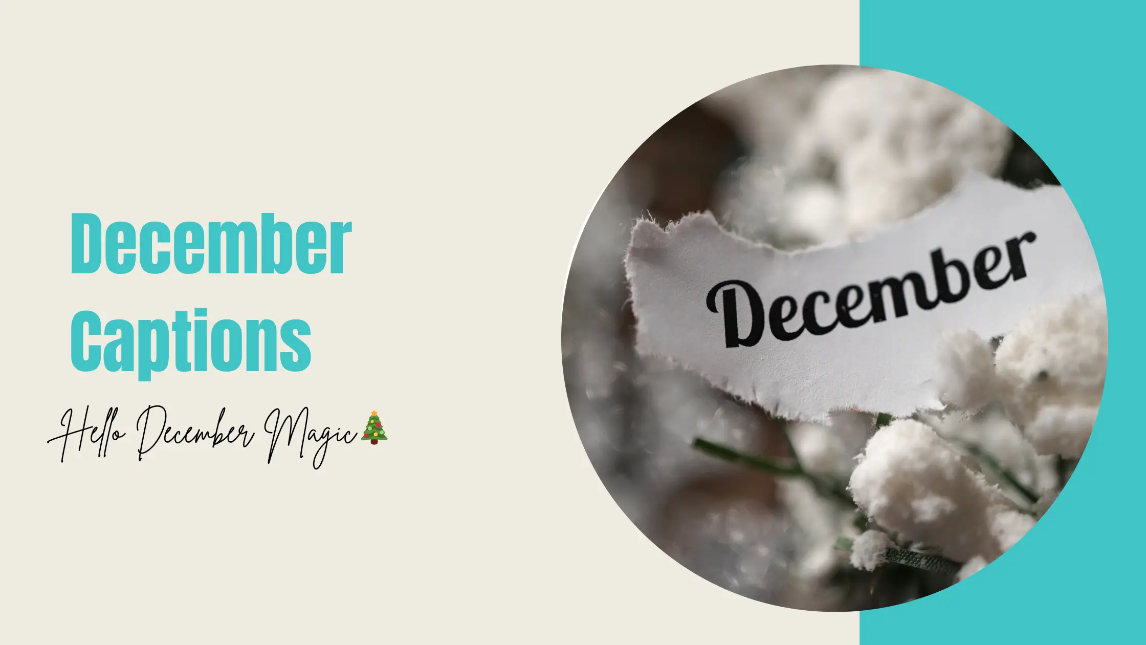 december instagram captions