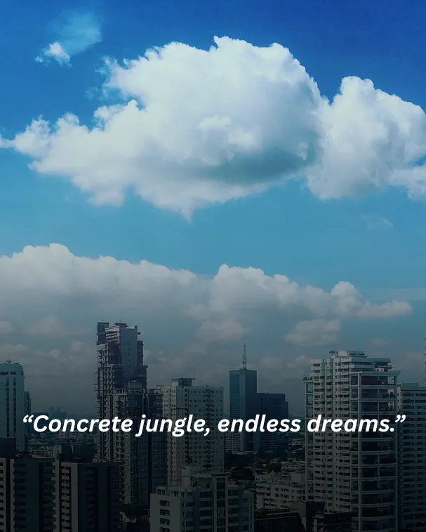 Concrete jungle, endless dreams.