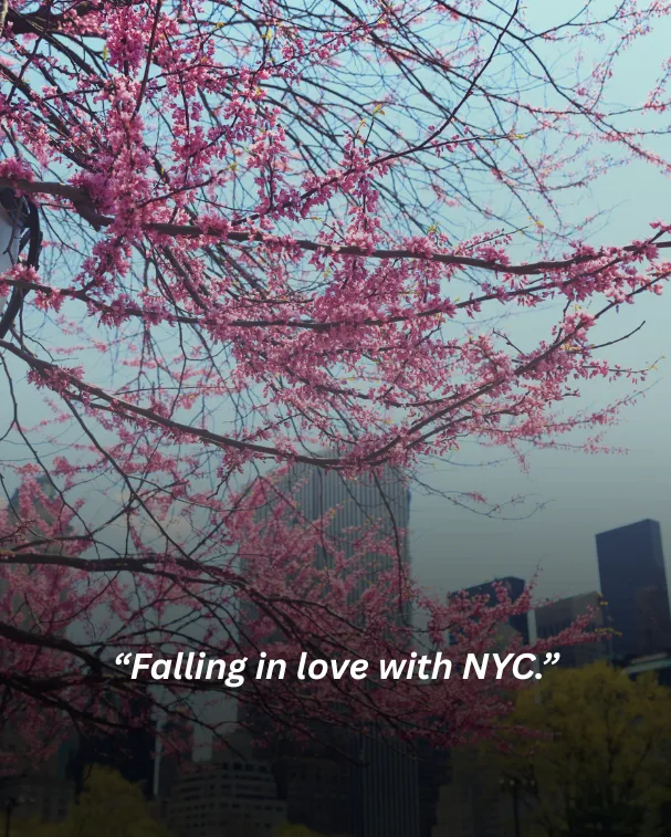 Falling in love with NYC.