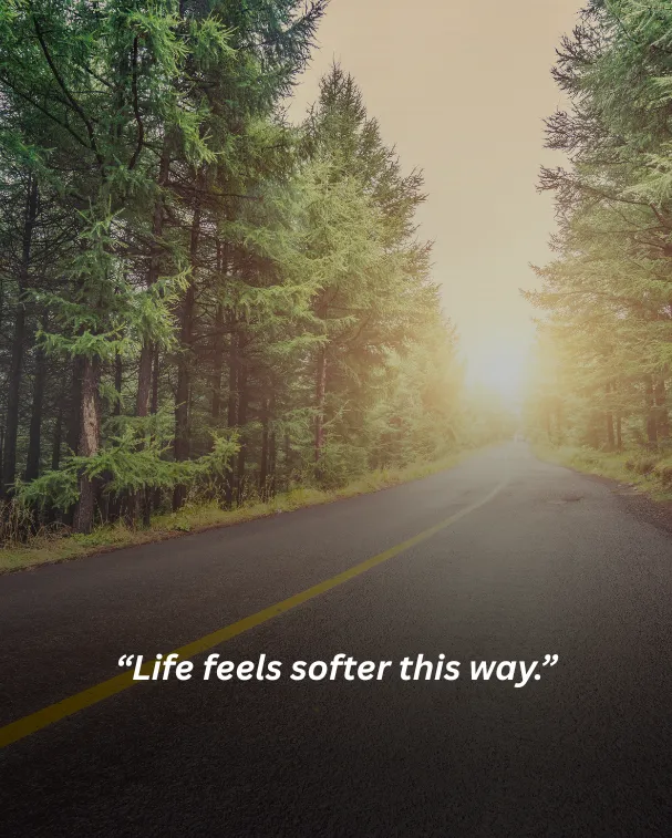Life feels softer this way.