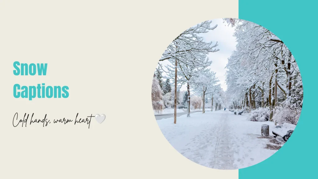 Snow Captions