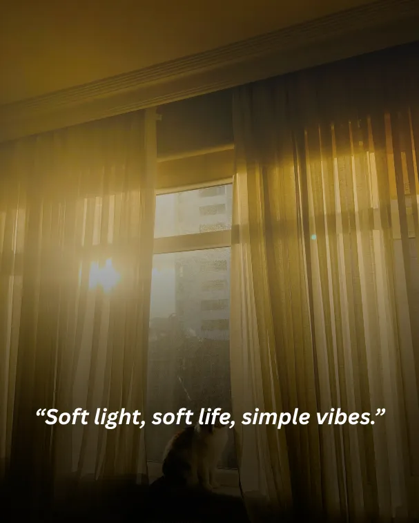 Soft light, soft life, simple vibes.