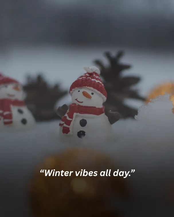 Winter vibes all day.